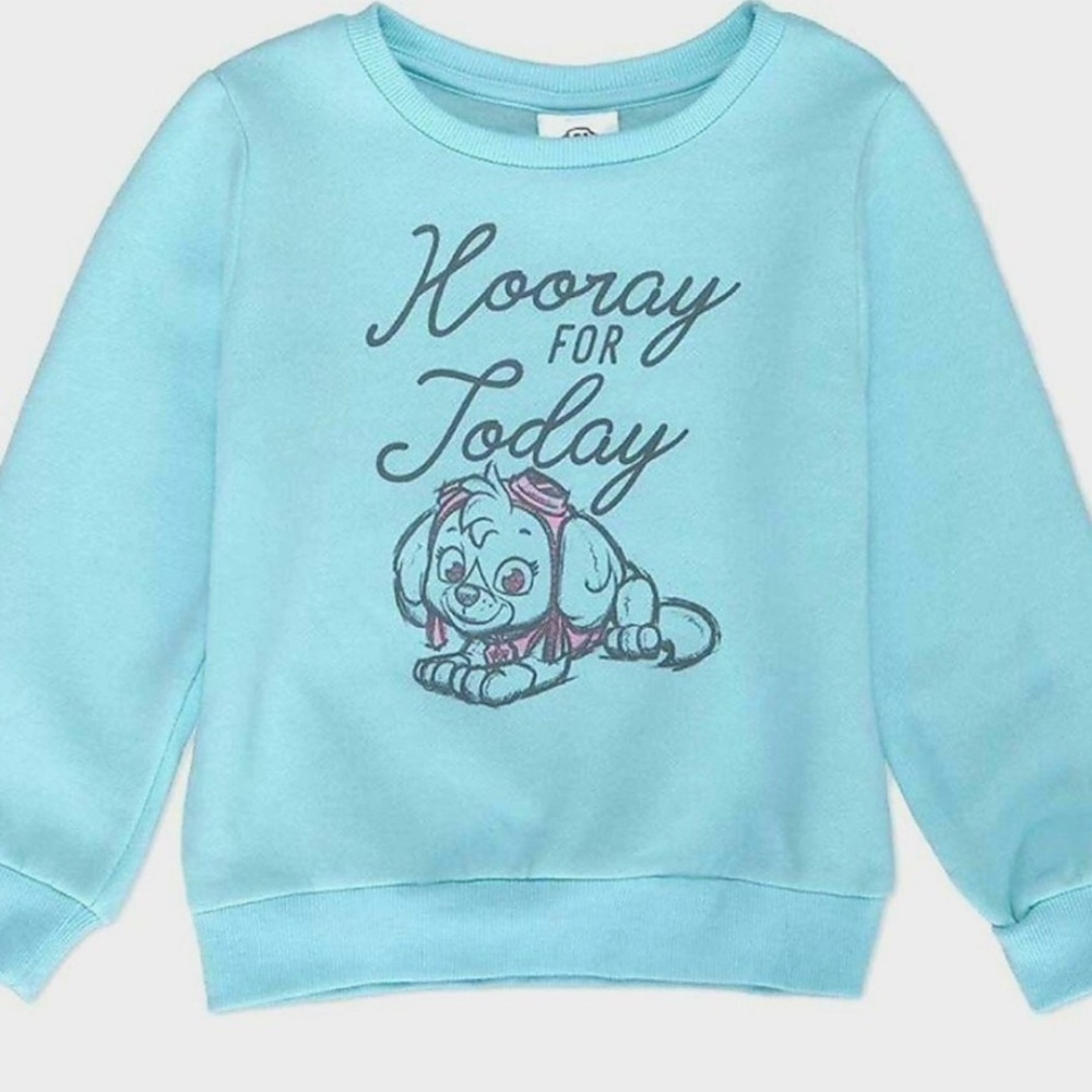 0435 NWT Paw Patrol Aqua Sweatshirt - Hooray for Today - Picture 3 of 7